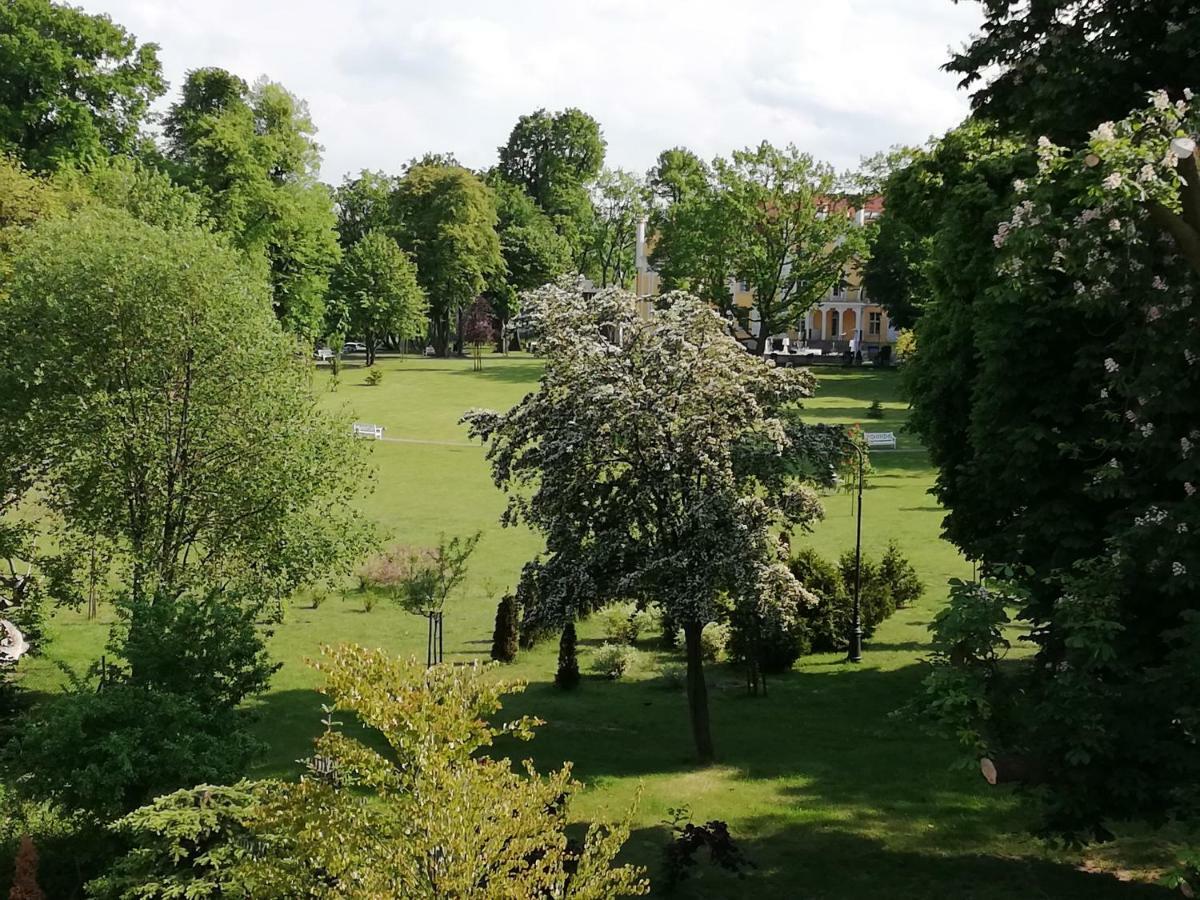 Gdynia Orlowo Honey Apartment Εξωτερικό φωτογραφία